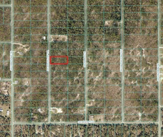 TBD SW Arrow Leaf Trail, Dunnellon, FL 34431