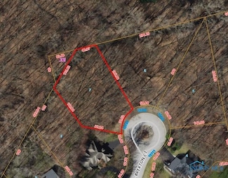 10706 Brexton Ct, Whitehouse, OH 43571