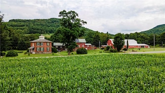 34315 State Highway 10, Walton, NY 13856
