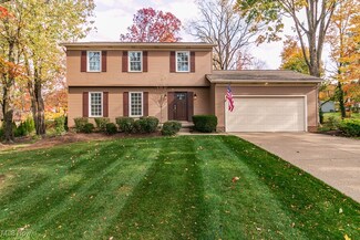 9630 Troy Ct, Mentor, OH 44060