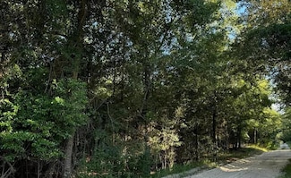 TBD Tbd Old Castle Road Rd, Barnwell, SC 29812