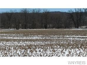 1972 State Route 19, Wyoming, NY 14591