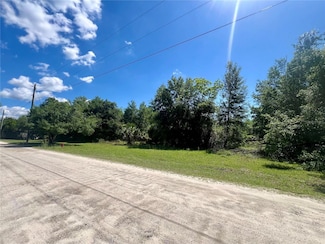 0 Owens Ln Unit MFRG5097077, Umatilla, FL 32784