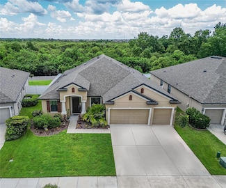 11911 Sunburst Marble Rd, Riverview, FL 33579