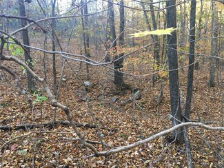 1 Indian Creek Rd, Bismarck, MO 63624