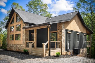 164 Brook Ln, Mineral Bluff, GA 30559