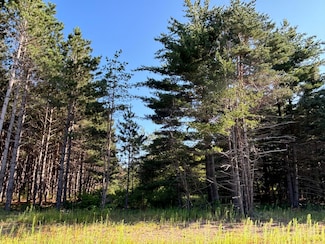 L5,Blk1 262nd Ave NW, Orrock Township, MN 55309