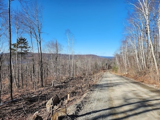 0 Dow Farm Rd Unit B, Island Falls, ME 04747
