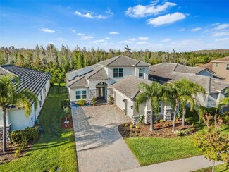 31165 Chesapeake Bay Dr, Wesley Chapel, FL 33543