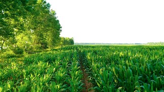 Tbd Cr D475, Haworth, OK 74740
