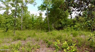 0 Baker Ave Unit 774505, Alford, FL 32420