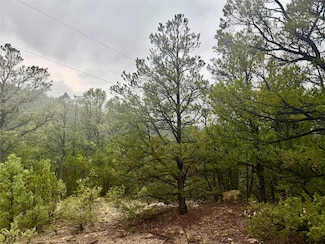 1 Acre Highway 63, Pecos, NM 87552