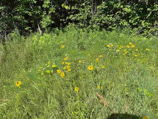 TBD Holman Rd, Salisbury, VT 05769