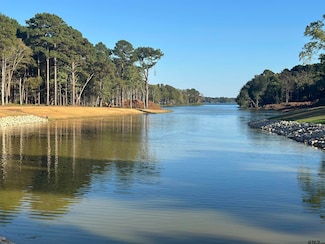 Lot 43 Oak River, Frankston, TX 75763