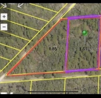 0 NE Creekstone St NE Unit MFRO6312147, Webster, FL 33597