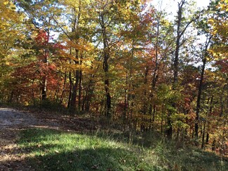 Tbd Hiram Hollow Rd, Wise, VA 24293