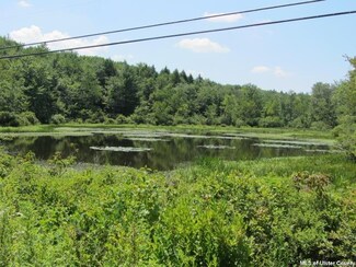 T/B/D Murphy Rd, Swan Lake, NY 12783