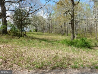 0 Black Hill Rd Unit 1002667138, Rixeyville, VA 22737