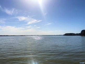 Lot 8 Little River Landing, Cedar Bluff, AL 35959