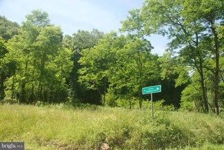 0 Cannon Settlement Rd Unit 1001961770, Parsons, WV 26287
