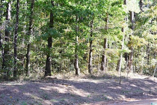lot 24 Gladys Dr Unit 24, Lake View, AL 35111