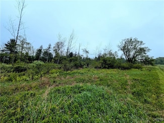 0 Maricle Rd Unit S1607729, Freetown, NY 13040