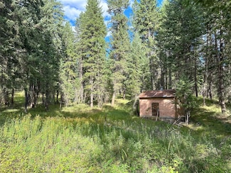 Nhn Farlan Ln, Thompson Falls, MT 59873