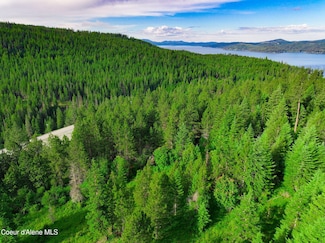 NKA 1B Skyview Rd, Harrison, ID 83833