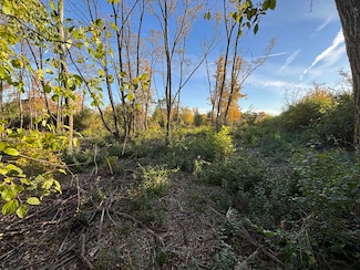 21647 S Owens Rd, Mokena, IL 60448