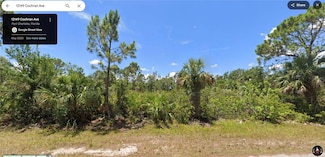 12149 Cochran Ave, Port Charlotte, FL 33981