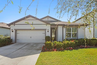 788 Parsons Mooring Ct, Seffner, FL 33584