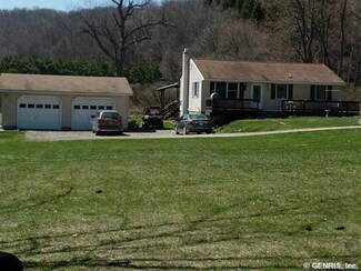 1099 Heselton Gully Rd, Whitesville, NY 14897