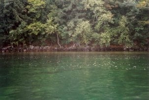 134E Rattlesnake, Alton, NH 03809