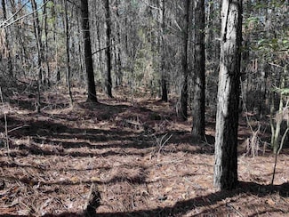 TBD Polk Road 13, Wickes, AR 71972