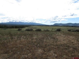 TBD Colorado 184, Mancos, CO 81328