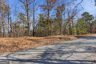 1166 Hunter Dr, Ranger, GA 30734