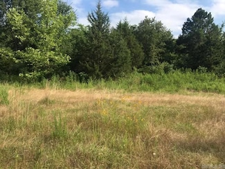 6350 Possum Hollow Rd, Booneville, AR 72927