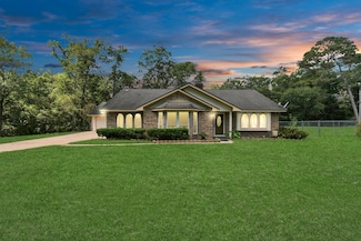 15603 Brown Ln, Old River-Winfree, TX 77535