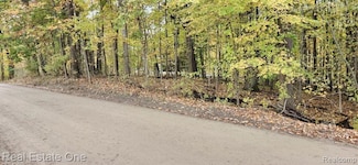 0000 Curtis Rd Curtis Rd, Addison Township, MI 48367