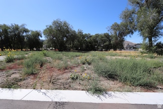 1306 E Victor Ln, Draper, UT 84020