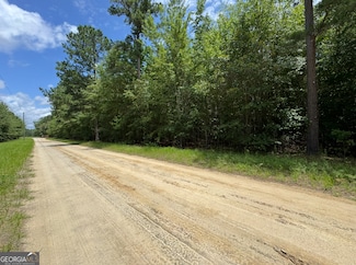 0 Tobias Rd, Sardis, GA 30456