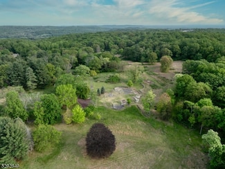 11 Wright Ln, Far Hills, NJ 07931