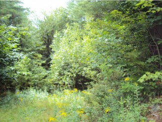 0 Old County Rd S, Newbury, NH 03255