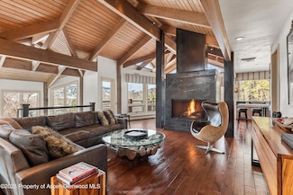 153 Herron Hollow Dr, Aspen, CO 81611