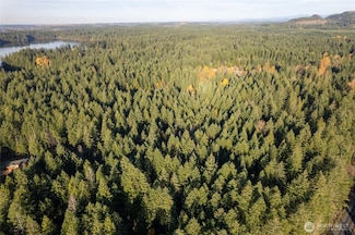 0 Bald Hill Rd SE Unit NWM2454931, Yelm, WA 98597