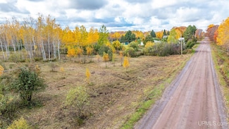 TBD Lake Annie Cross Cut Rd, Hancock, MI 49930