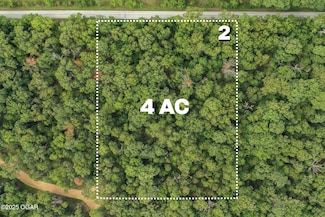 Lot 2 Mink Drive (4 Ac), Neosho, MO 64850