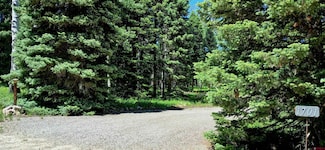 1701 Hazel Lake Dr, Cimarron, CO 81220