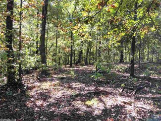 0 Chism Trail Unit 18032147, Hardy, AR 72542