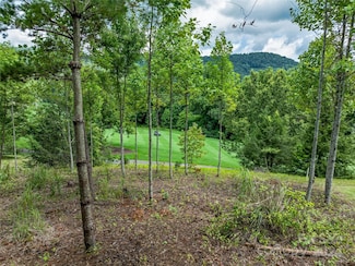 1822 Bella Vista Ct Unit 119, Arden, NC 28704